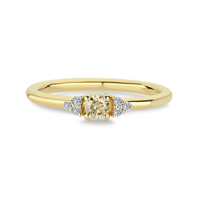 Nuran Champagne Ring 14 kt. Guld